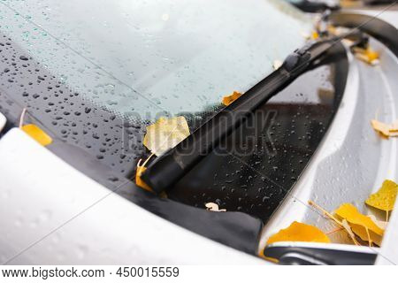Leaves On The Hood Of A Car In Autumn In Raindrops