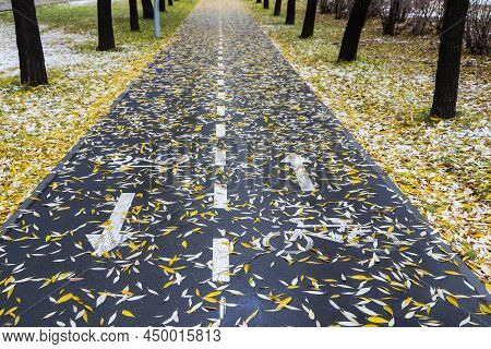 Cycle Path In The City Autumn Late Season With Snow