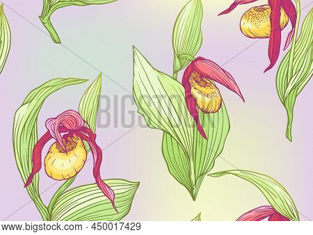 Ladys Slipper Orchid, Cypripedioideae, Seamless Pattern, Background. Vector Illustration. In Botanic
