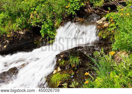 Summer Landscape With Fast Mountain Stream Among Green Grass In The Ergaki Nature Park. Ergaki Is A 