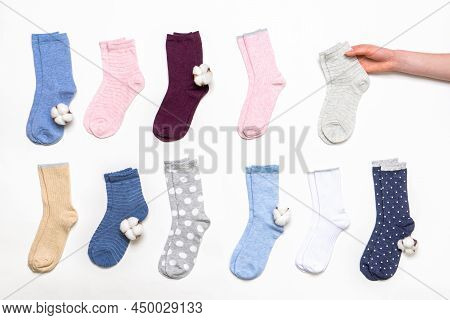 Female Hand Holding Socks Among Women's Cotton Socks Set With Cotton Flowers On White Background. Fa