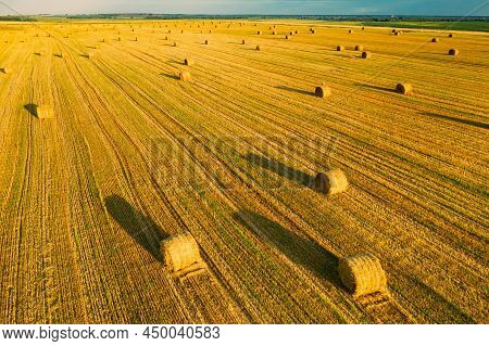 Elevated View Of Summer Hay Rolls Straw Field Landscape In Evening. Haystack, Hay Roll In Sunrise Ti
