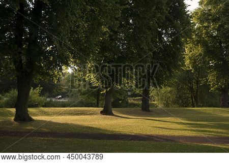 Grantham, England- July 18, 2014. Wyndham Park Trees
At Sunset Time.