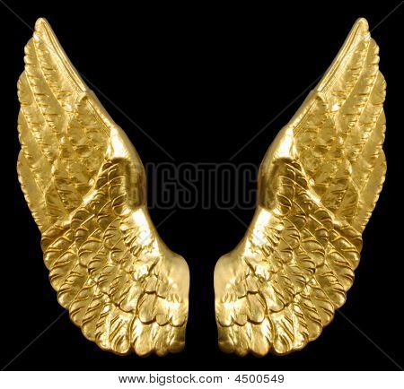 Golden Wings