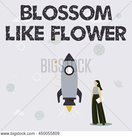 Text Caption Presenting Blossom Like Flower. Business Idea Plant Or Tree That Will Form The Seeds Or