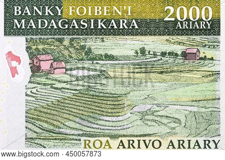 Rice Terraces From Old Malagasy Money - Ariary
