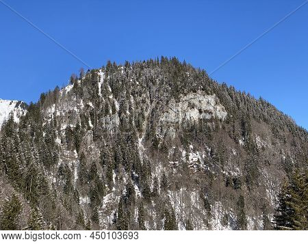 Forest-rocky Alpine Hill Mittelberg On The Slopes Of The Alpstein Massif And Above The Obertoggenbur