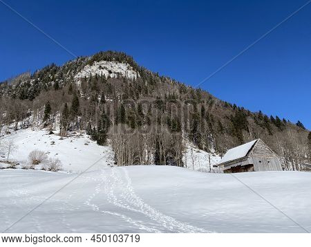 Forest-rocky Alpine Hill Mittelberg On The Slopes Of The Alpstein Massif And Above The Obertoggenbur