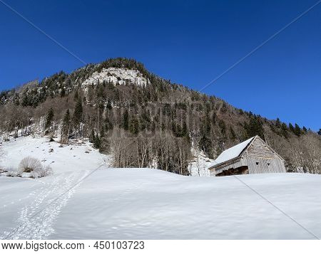 Forest-rocky Alpine Hill Mittelberg On The Slopes Of The Alpstein Massif And Above The Obertoggenbur