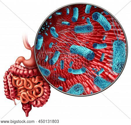 Microbiome In The Gut As Bacteria Flora Inside An Intestine As A Digestion Symbol Inside The Intesti
