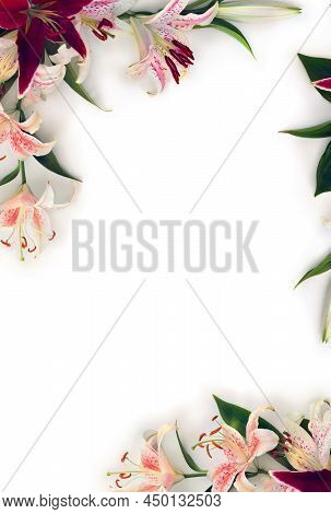 White Flowers Lilies With Pink Spots And Maroon Lilies On A White Background With Space For Text. To