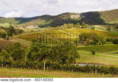 Picturesque Vineyards In The Hunter Valley - Mount View, Nsw, Australia