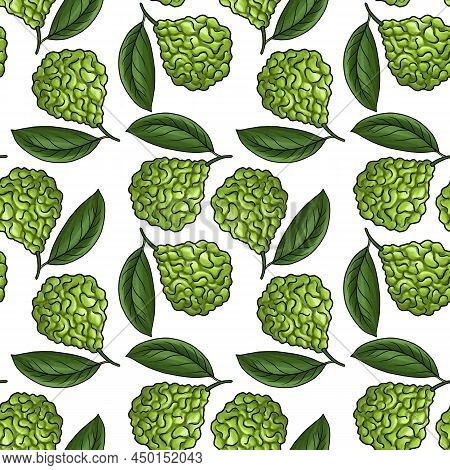 Seamless Pattern With Drawing Bergamot Orange Fruit, Citrus Bergamia At White Background, Hand Drawn