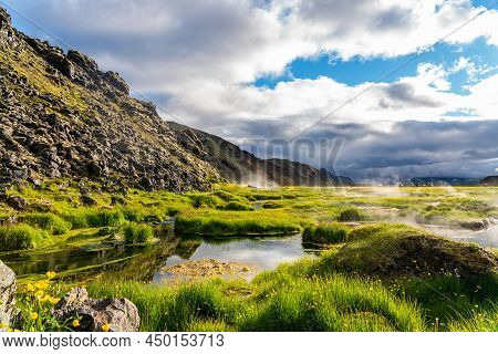 View Of Geothermal Area At Landmannalaugar Valley With Field Of Yellow Flowers And Rough Rocky Mount