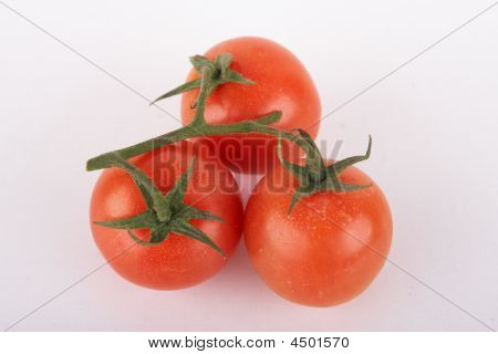 reife Tomaten