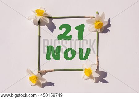 November 21th. Day Of 21 Month, Calendar Date. Frame From Flowers Of A Narcissus On A Light Backgrou