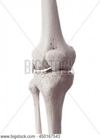 3d rendered medically accurate illustration of the fibular collateral bursa