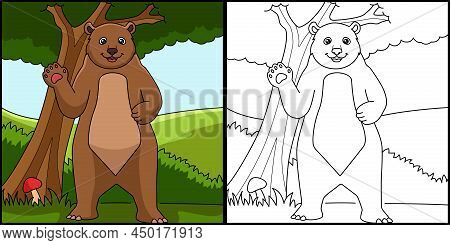 This Coloring Page Shows A Bear. One Side Of This Illustration Is Colored And Serves As An Inspirati