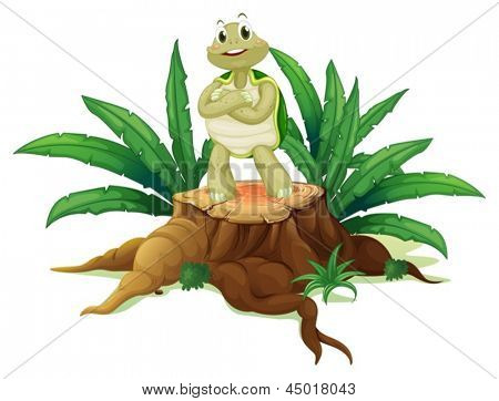 Illustration af en skildpadde stående over træ på en hvid baggrund