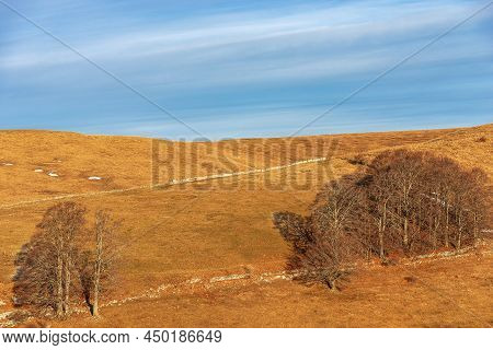 Beech Groves With Bare Trees In Winter And Brown And Orange Pasture On Lessinia High Plateau Regiona