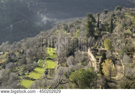 Sataf, Israel - January 29th, 2022: Ancient Agricultural Methods Are Used To Grow Crops On Terraces 