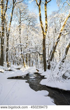 Mankinjoki Rapids Area In Winter, Espoonkartano, Espoo, Finland