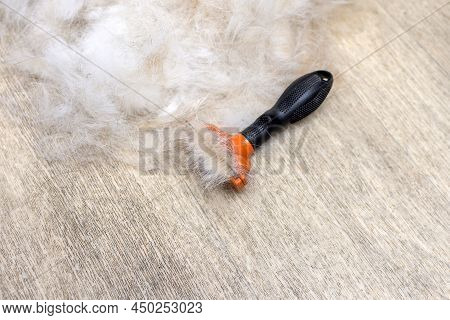 Furminator For Grooming Animals. Dog Hair. Molt