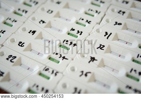 Rapid Antigen Test Kit Atk With Group People Negative Result During Swab For Back To School, Office