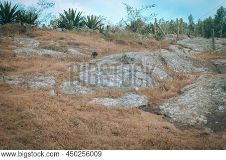 View Of Rocky Area Along The Hilly Reagion In Yercaud, Tamil Nadu. Selective Focus.