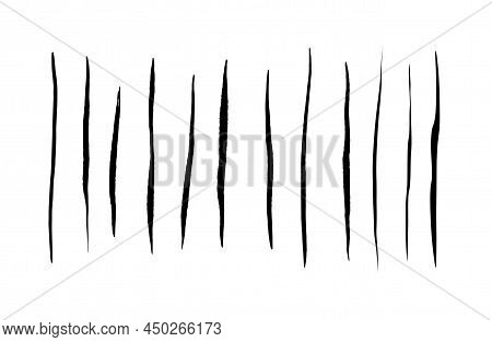 Set With Werewolf, Cat Or Beast Scratch Scrape On White Background. Four Wound Marks. Isolated Print