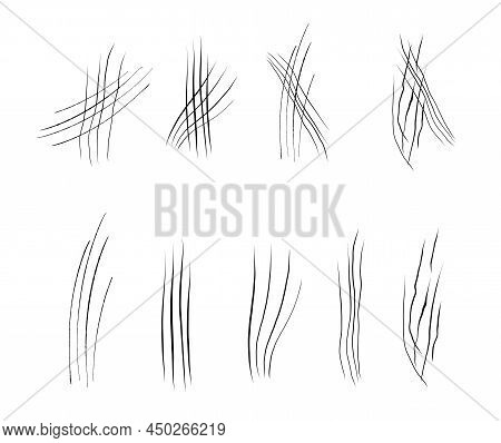 Set With Werewolf, Cat Or Beast Scratch Scrape On White Background. Four Wound Marks. Isolated Print