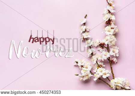 Sprigs Of The Apricot Tree With Flowers On Pink Background Text Happy Nowruz Holiday Concept Of Spri