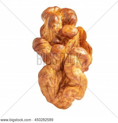 Walnut Isolated. Walnut Kernel Nut  On White Background. Macro