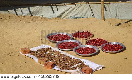 Some Chili And Ginger Let To Dry In Sunlight On The Rohingya Refugee Camp Of Bangladesh.