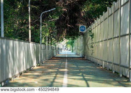 Green Path Has Alongside Way Of Two White Fences.trees Shadow Shine A Black Light Like A Longway Of 
