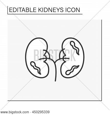 Illness Line Icon. Infection In Kidney. Blood Poisoning. Unhealthy Internal Organ. Healthcare Concep