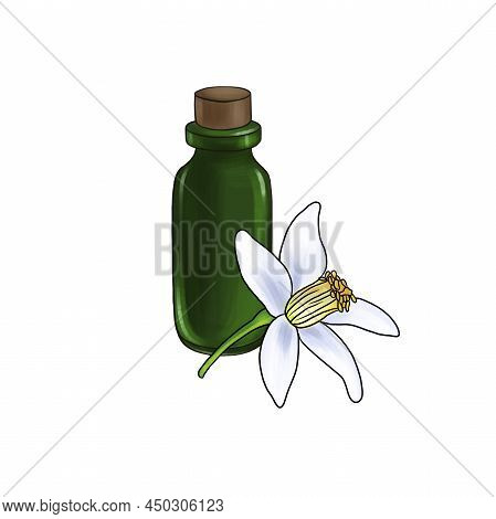 Drawing Neroli Essential Oil, Glass Bottle And Bitter Orange Flower, Hand Drawn Illustration