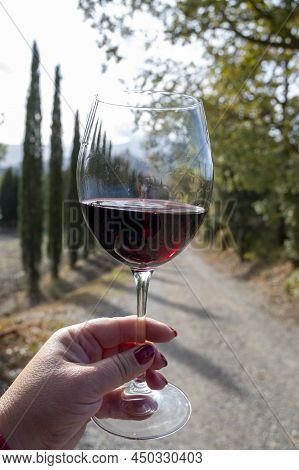 Tasting Of Red Sangiovese Wine With Typical Hilly Vineyards And Cypress Tree On Background Near Mont