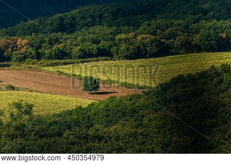 Monoszlo Country Side Aerial View. Hungarian Summer Rural Landscape.