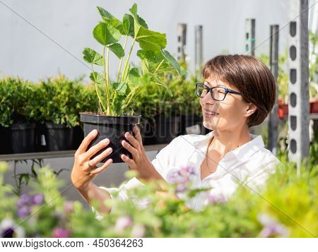 Woman Chooses Plants And Trees For Landscaping. Outdoor Shelves With Seedlings, Flowering Plants And