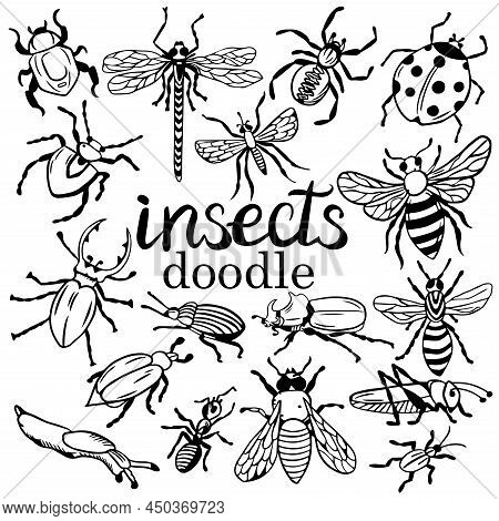 Big Set Of Insects In Doodle, In Black By Hand. Collection Of Fly, Bee, Grasshopper, Moth And Beetle