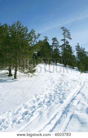 Vinterlandskab skønhed