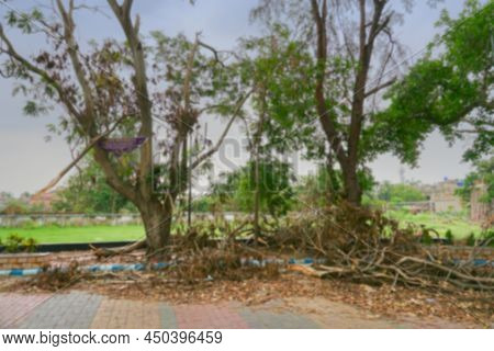 Blurred Image Of Howrah, West Bengal, India. Super Cyclone Amphan Uprooted Tree Which Fell And Block