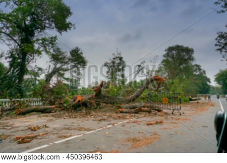 Blurred Image Of Kolkata, West Bengal, India. Super Cyclone Amphan Uprooted Tree Which Fell On Groun