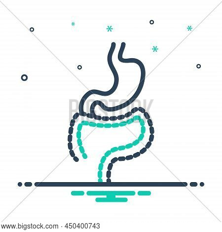 Mix Icon For Tract System Digestive Intestine Organ Stomach Gastro Anatomy