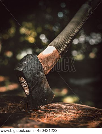 Close-up Of Axe In Stump Chopping Wood