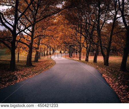 Long Winding Road In Countryside In Autumn