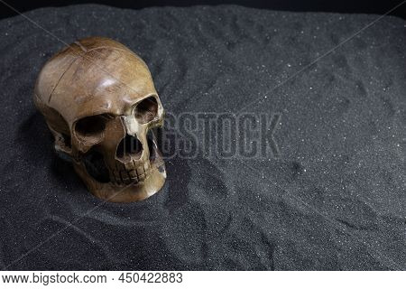 Wooden Skull Buried In Black Sand. Copy Space