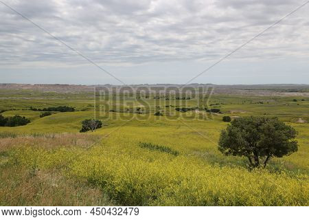 Badlands National Park Southwest Of South Dakota, United States. High Quality Photo