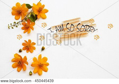 I Am So Sorry Message Card With Flowers Orange Cosmos Arrangement Flat Lay Postcard Style On Backgro